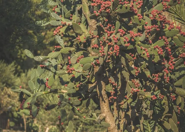 Ngonia Bay Boutique 米拉佐